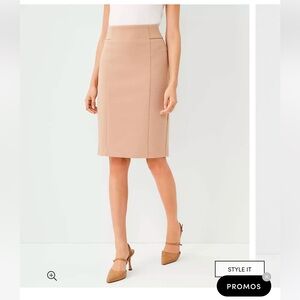 Ann Taylor Petite High Waist Seamed Pencil Skirt in Double Knit